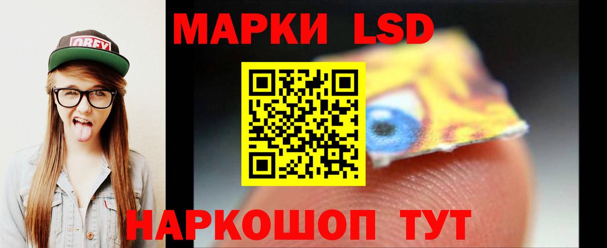 Лсд 25 Будённовск
