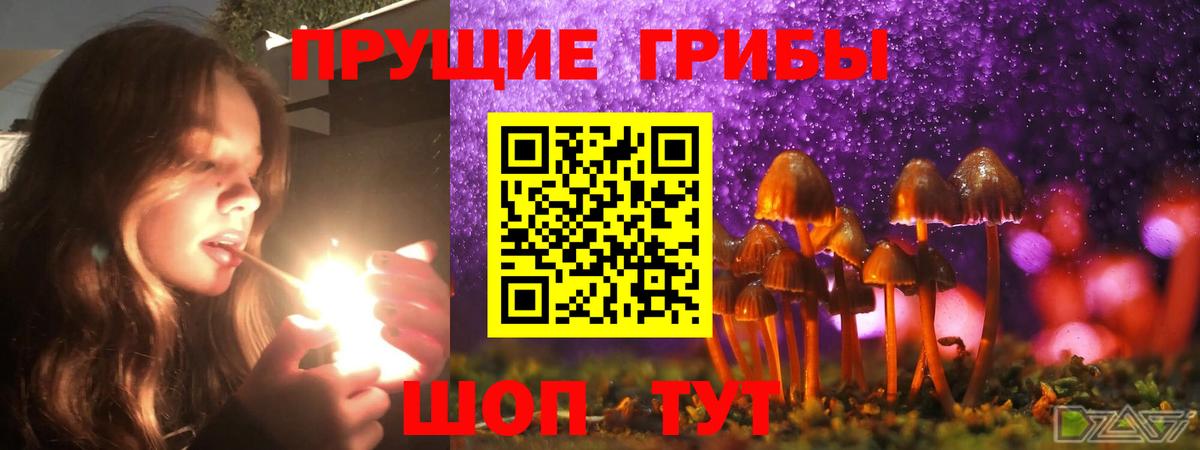Псилоцибиновые грибы прущие грибы Будённовск