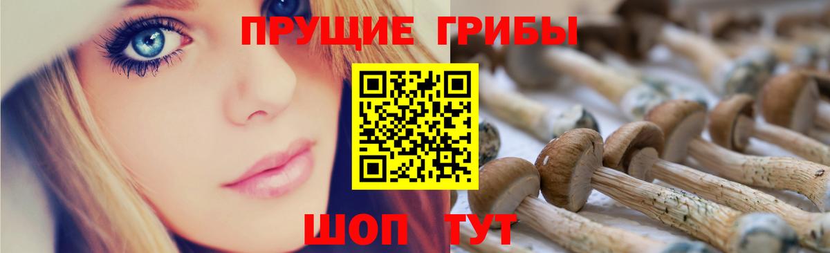 купить наркотики сайты  Вход с VPN  Будённовск  Галлюциногенные грибы Psilocybine cubensis 