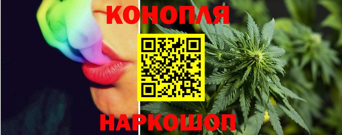Шишки марихуана индика Будённовск